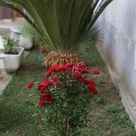 Innuendo La Terrazza House *